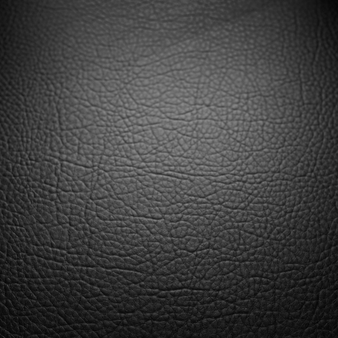 Heavy Cotton Canvas Shell Fabric