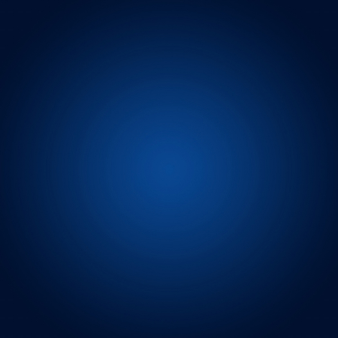 Blue OEM Punching Bag