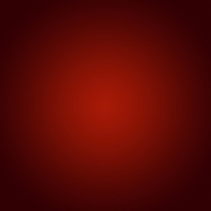 Red OEM Punching Bag